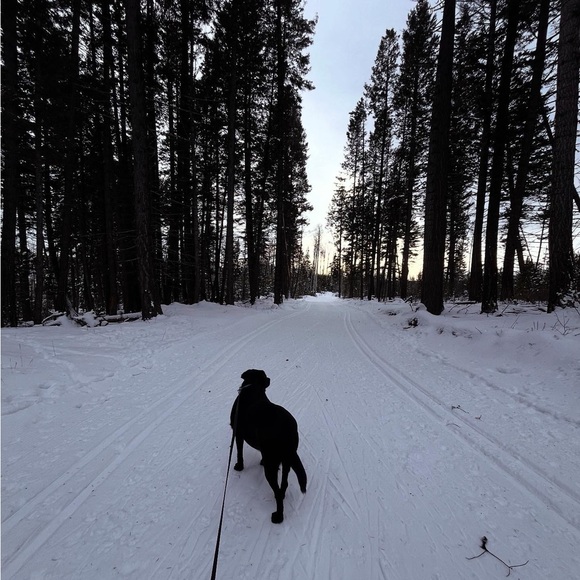 Meet your Posher, Megan - Picture 2 of 2